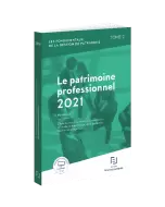Le patrimoine professionnel 2021