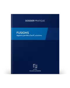 Fusions : apports partiels d'actif, scissions