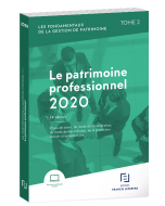 le patrimoine professionnel 2020