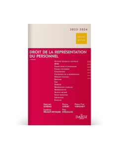 Droit De La Représentation Du Personnel 2023/2024