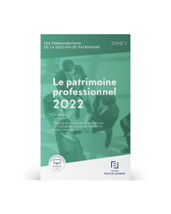 LE PATRIMOINE PROFESSIONNEL 2022
