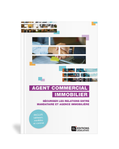 Agent commercial immobilier