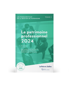 Le patrimoine professionnel 2024