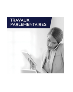 travaux parlementaires