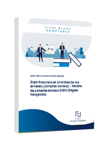  LIVRE BLANC - États financiers et contrôles de vos annexes (comptes sociaux) - Modèle de comptes sociaux 2020 (Règles françaises)