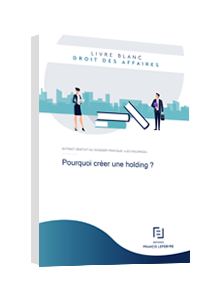 LIVRE BLANC - Pourquoi créer une holding ?